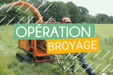 xr:d:daf8bswoole:7,j:8200346863901896087,t:24020614